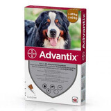 Spot-On Advantix 600 soluzione vermifuga per cani, 1 pipetta, Bayer Vet OTC