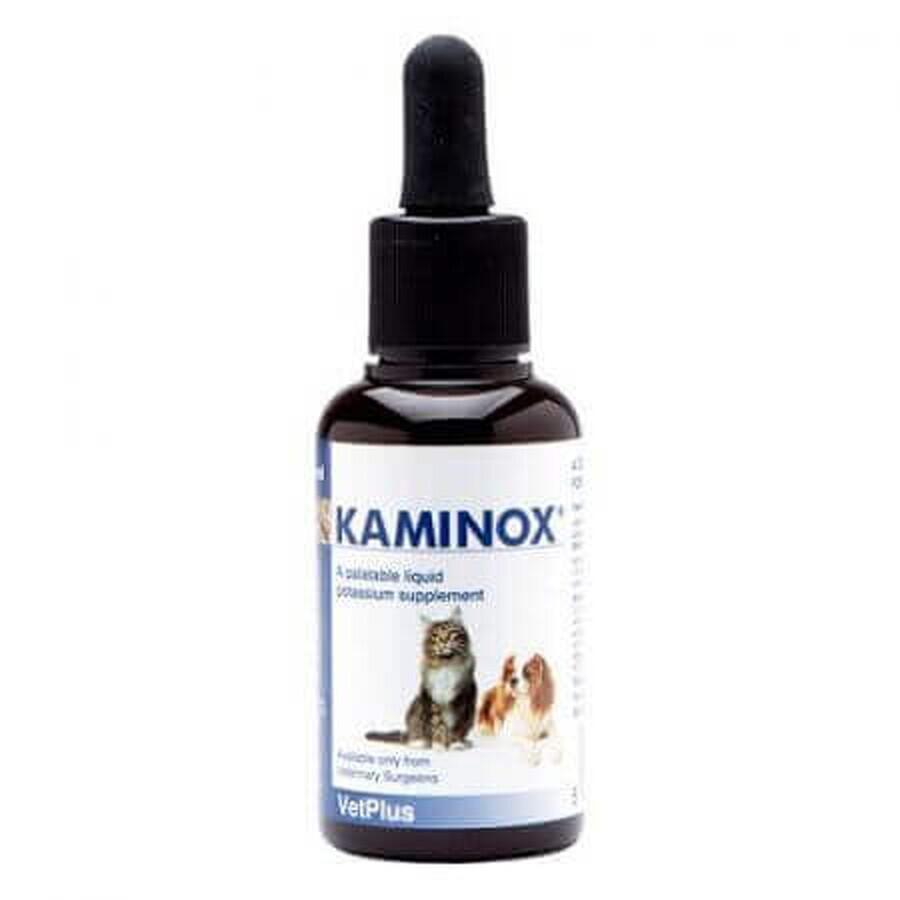 Integratore nutraceutico appetibile per gatti con funzionalità renale compromessa Kaminox, 60 ml, VetPlus
