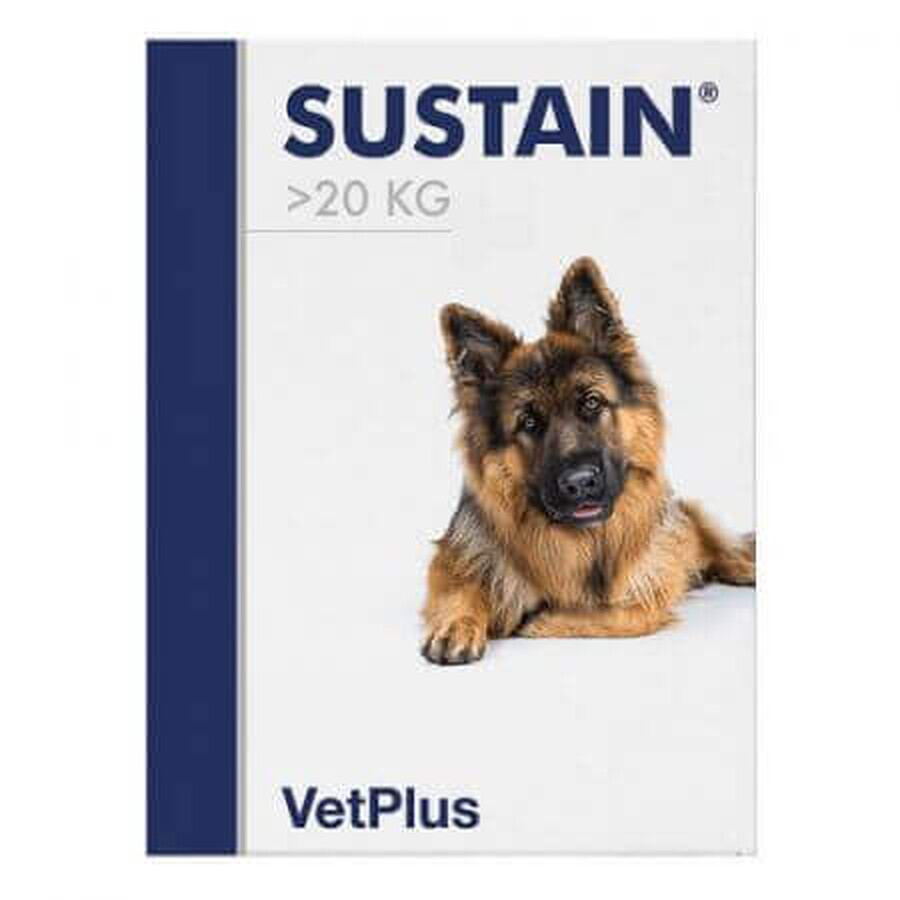 Integratore per il supporto dell'apparato digerente nei cani di taglia grande >20 kg Sustain Large Breed, 30 buste, VetPlus