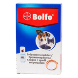 Collare antiparassitario 38 cm per cani e gatti Bolfo, 1 pezzo, Bayer Vet