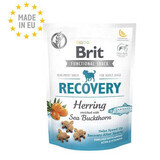 Snack per cani Recovery Herring, 150 g, Brit
