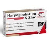Arpagofito e Zinco, 40 capsule, FarmaClass