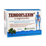 Tendoflexina, 30 capsule, Elisir