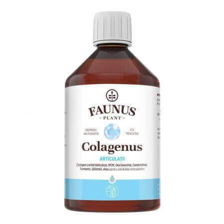 Collagenus articulatii, 500 ml, Fauno