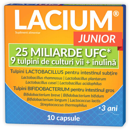Lacium Junior 25 miliardi CFU, 10 capsule, Zdrovit