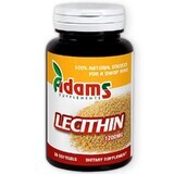 Lecitina 1200 mg, 30 capsule, Adams Vision