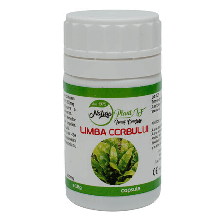 Lingua di cervo 300 mg, 60 capsule, Natura Plant