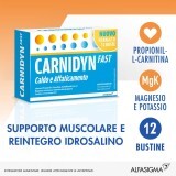 Alfasigma Carnidyn Fast Magnesio e Potassio Reintegro Idrosalino, 12 Bustine