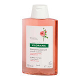 Shampoo con estratto di peonia per cuoio capelluto sensibile e irritato, 200 ml, Klorane