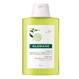 Shampoo Polpa Di Cedro Klorane 200ml