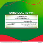 Enterolactis Plus, 30 capsule, Integratore Probiotico, Sofar