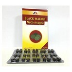 Black Walnut, 30 compresse, American Lifesyle
