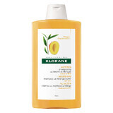 Shampoo nutriente al burro di mango per capelli secchi, 400 ml, Klorane