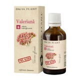 Estratto naturale di valeriana senza alcool, 50 ml, pianta di Dacia