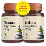 Confezione Ginkana Ginkgo Biloba da 120 mg, 30 compresse, Alevia (1+1)