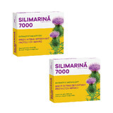Confezione Silymarina 7000, 30 compresse + 30 compresse, Fiterman