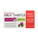 Silimarina + Colina Milk Thistle 1000 mg, 90 + 30 capsule, Zdrovit