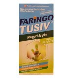 Sciroppo per la tosse con germogli di pino, Faringo Tusiv, 120 ml, Terapia