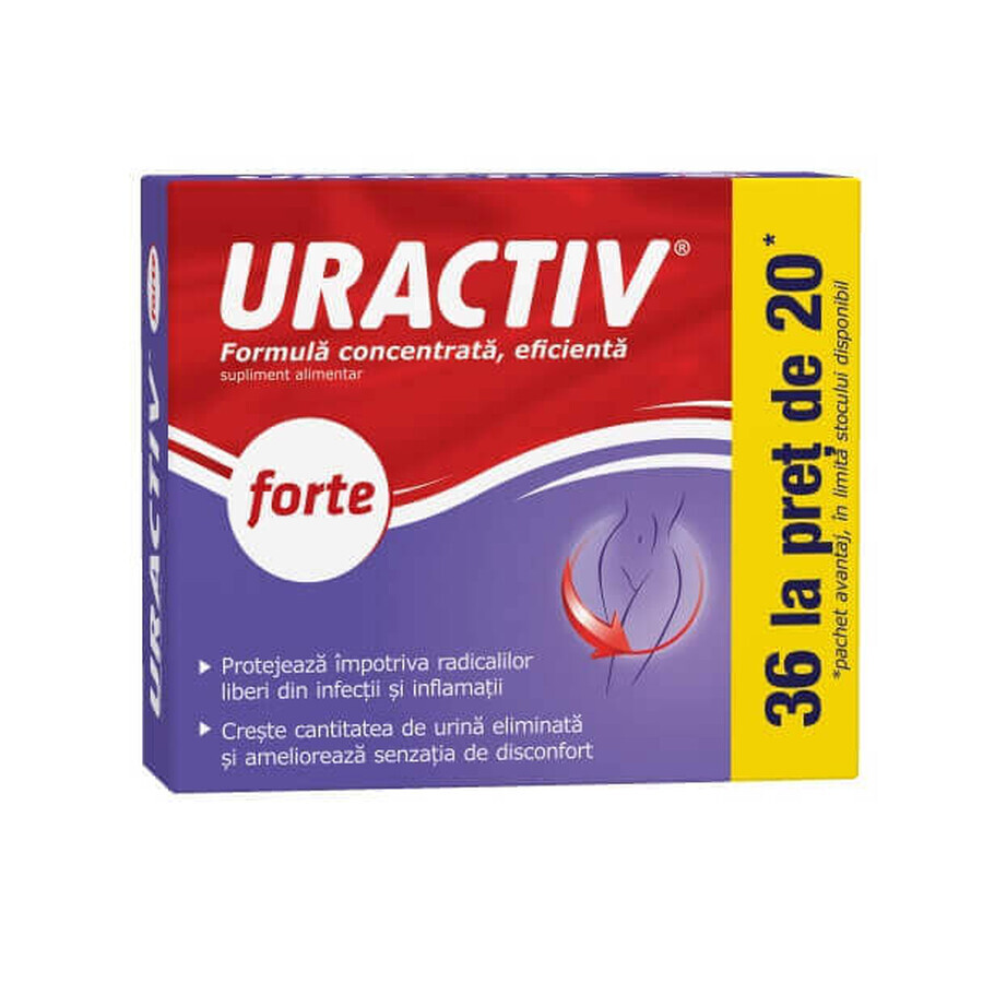 Confezione Uractiv forte, 20 + 16 capsule, Fiterman Pharma recensioni