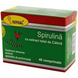 Spirulina con estratto totale di olivello spinoso, 40 compresse, Hofigal