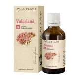 Tintura di valeriana, 50 ml, pianta di Dacia