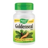 Goldenseal Root, 30 capsule, Nature's Way 