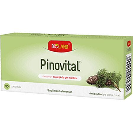 Pinovital, 60 compresse, Biofarm