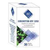 OROSTIM-HV 250, 30 capsule, Istituto Cantacuzino
