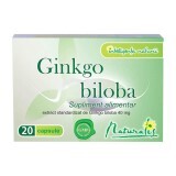 Naturalis Gingko biloba 40 mg x 20 cps.