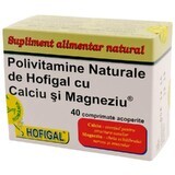 Polivitamine naturali con calcio e magnesio, 40 capsule, Hofigal