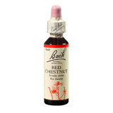 Red Chestnut Original Bach Floral Remedy gocce, 20 ml, Rescue Remedy