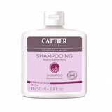 Shampoo bio per capelli secchi con anima di bambù, 250 ml, Cattier
