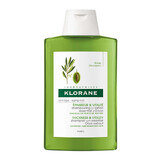 Klorane Estratto D Ulivo - Shampoo Anti-Età, 200ml