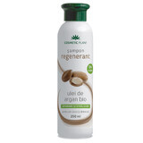 Shampoo idratante e rigenerante con olio di argan bio, 250 ml, pianta cosmetica