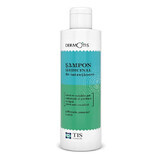 Shampoo medicato di mantenimento Dermotis, 100 ml, Tis Farmaceutic
