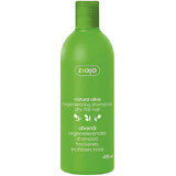 Shampoo per capelli danneggiati con olio d'oliva, 400 ml, Ziaja