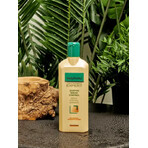 Shampoo Sebum Control, Gerovital Tratament Expert, 250 ml, Farmec