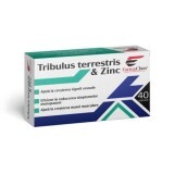 Tribulus Terrestris Zinco, 40 capsule, FarmaClass