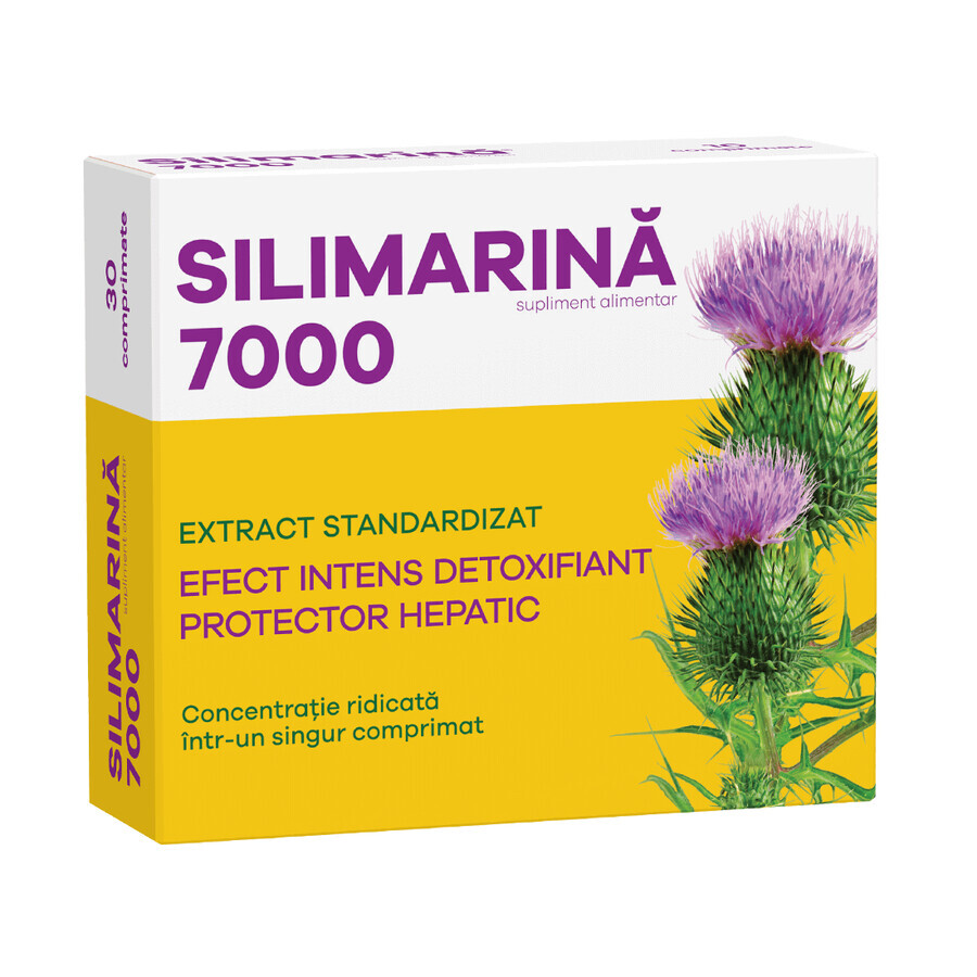 Silimarina 7000, 30 compresse, Fiterman recensioni