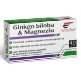 Ginkgo Biloba e Magnesio, 40 capsule, FarmaClass