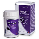 Telom-R cerebrale, 120 capsule, Dvr Pharm