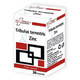 Tribulus terrestris & Zinco, 30 capsule, FarmaClass