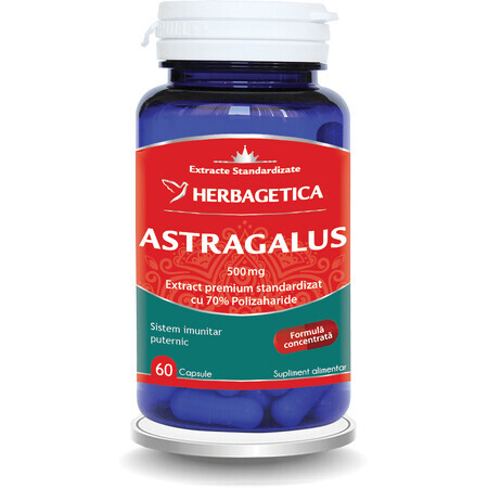 Astragalus 500 mg, 60 capsule, Herbagetica 