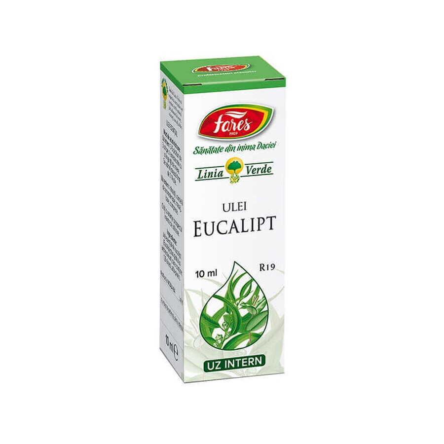 Olio essenziale di eucalipto, R19, 10 ml, Fares