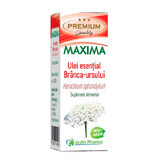 Olio essenziale Branca-Ursului Maxima, 10 ml, Justin Pharma