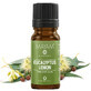 Olio essenziale di eucalipto citronato, 10 ml, Mayam