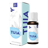 Olio essenziale intero di Thuja, 10 ml, Dvr Pharma