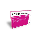 Vitamina B12 Ankermann Vital, 50 compresse, Worwag Pharma