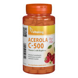 Vitamina C 500 mg al gusto di acerola e lampone, 40 compresse masticabili, Vitaking