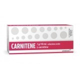 Carnitene 1g/10ml L-Carnitina Soluzione Orale Alfasigma 10 Flaconcini Monodose